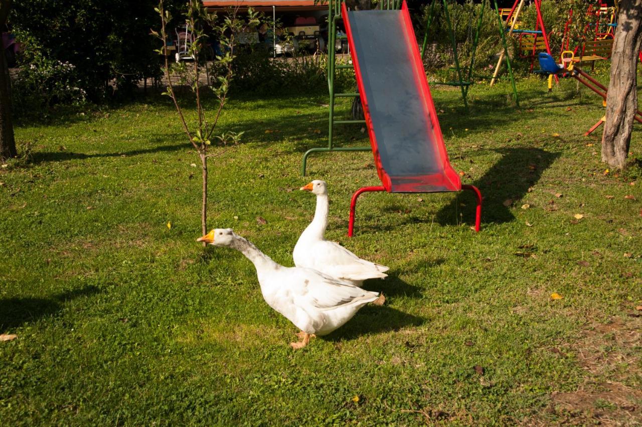 Agriturismo Il Giardino Sansepolcro Luaran gambar