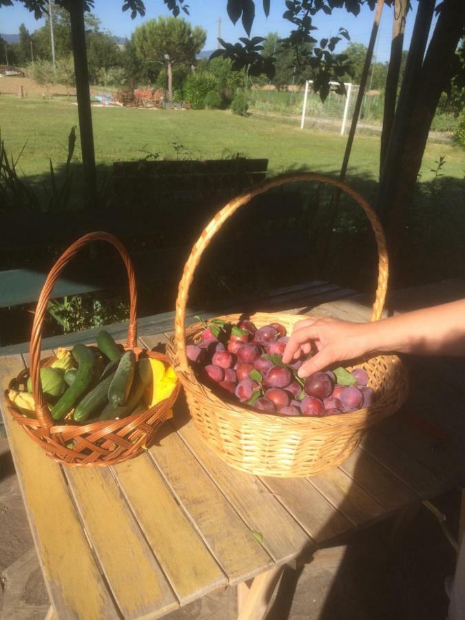 Agriturismo Il Giardino Sansepolcro Luaran gambar